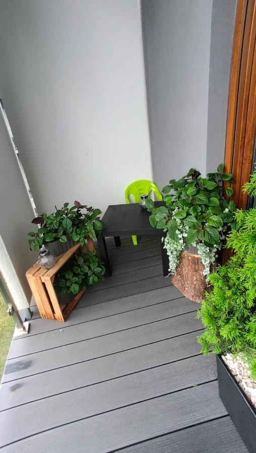 Apartament Starolecka Warta Parking Included Poznań